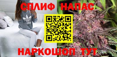 спиды Коммунар