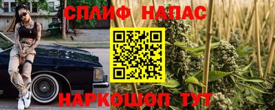 сатива Краснокаменск