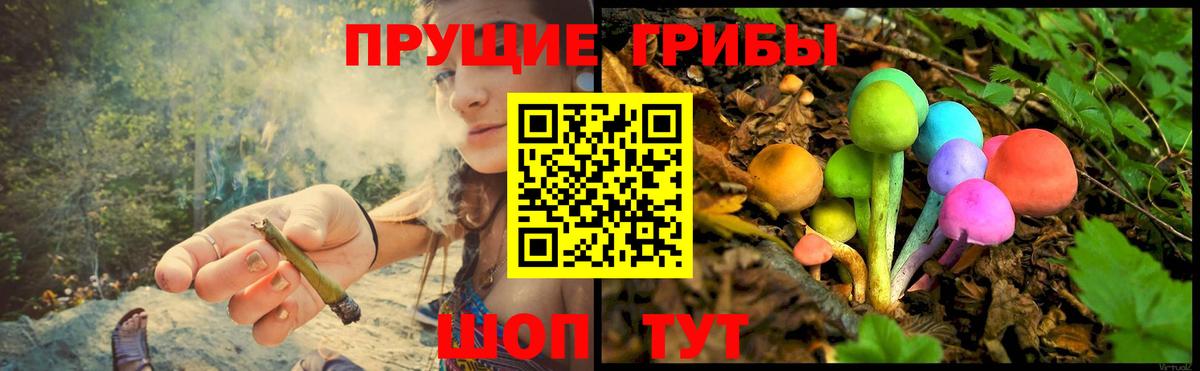 Торжок  Галлюциногенные грибы ЛСД  Вход с VPN  Псилоцибиновые грибы ЛСД 